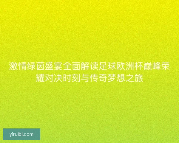 激情绿茵盛宴全面解读足球欧洲杯巅峰荣耀对决时刻与传奇梦想之旅