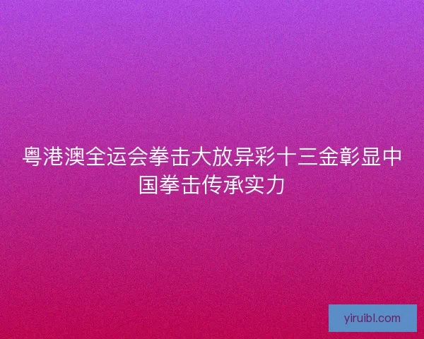 粤港澳全运会拳击大放异彩十三金彰显中国拳击传承实力